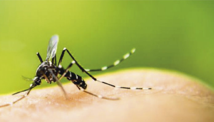 CORONAVIRUS REDES