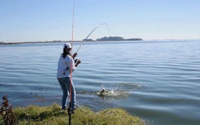 pesca