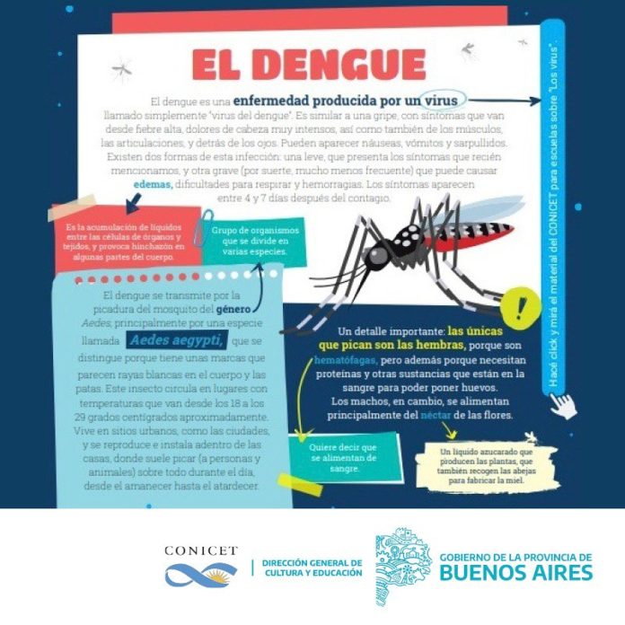 guias