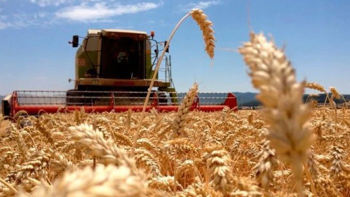 agropecuario