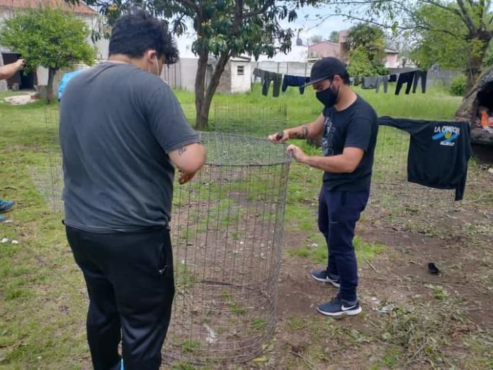 canastos2