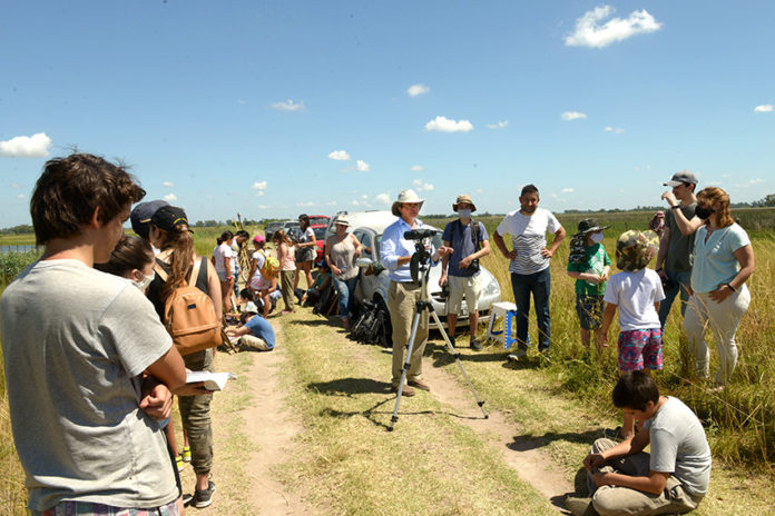 aves pampas