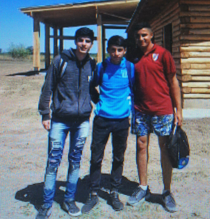 juveniles