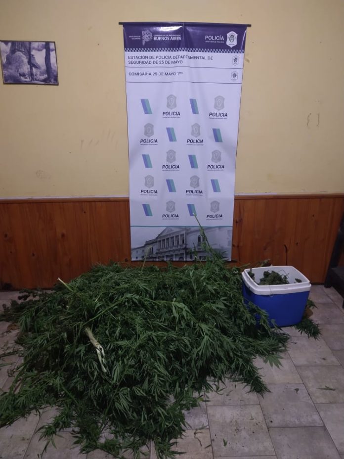 marihuana