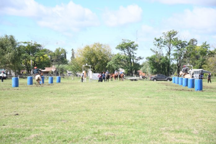 remate caballos zaino