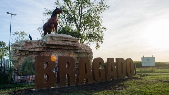 bragado