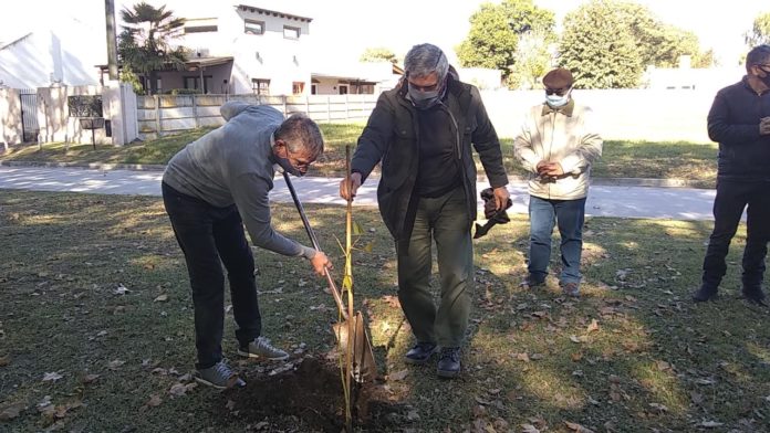 plantar belgrano2