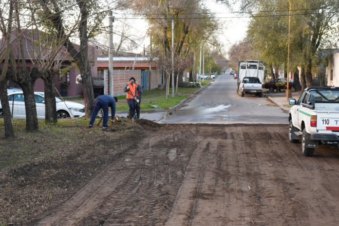 calle viale apertura
