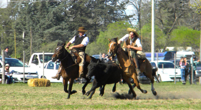 criollos1