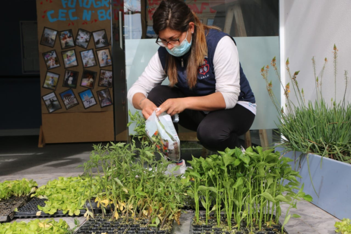 vivero
