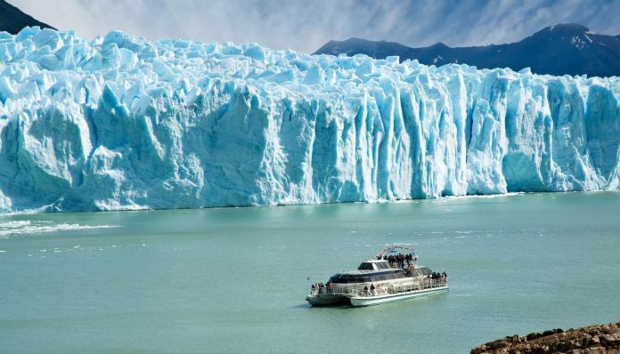 calafate