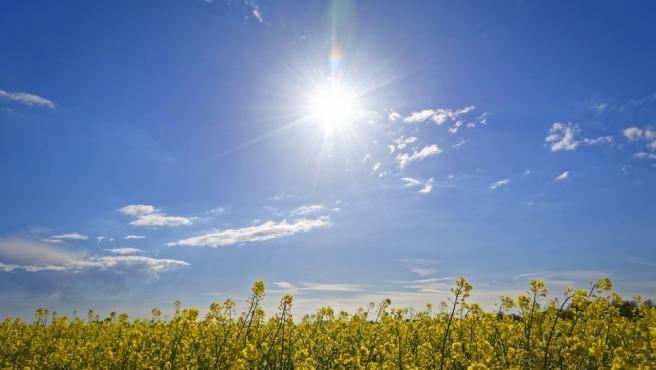 Ola de calor casi toda la provincia en alerta por temperaturas extremas La Manana