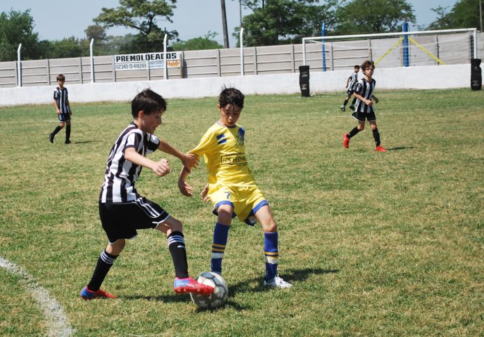 inferiores