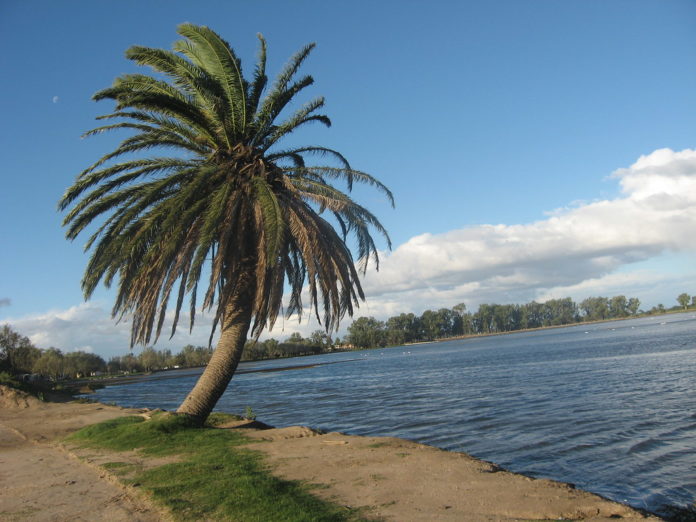 laguna mulitas