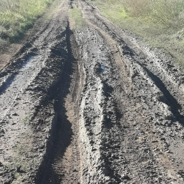 caminos