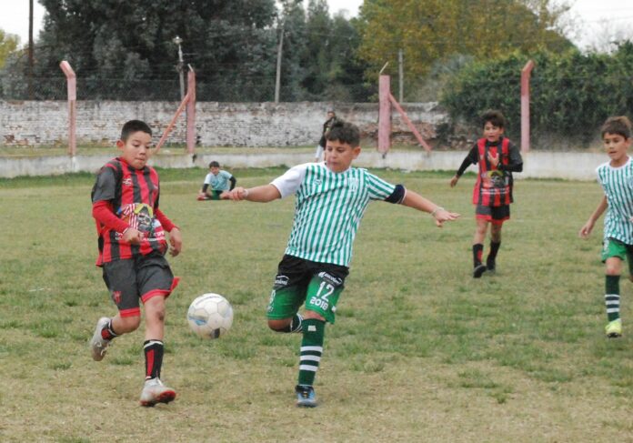 inferiores