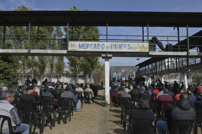 Liniers-scaled