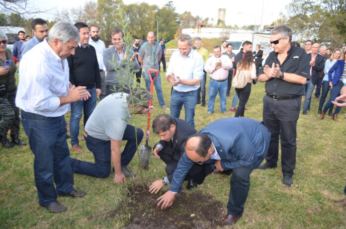 arbol malvinas kicillof katopodis salomon02