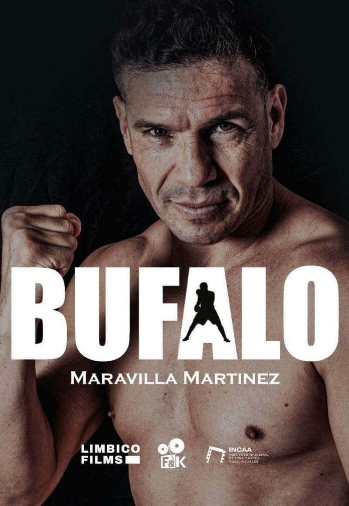 bufalo