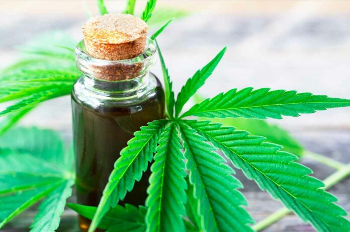 cannabis-medicinal-2