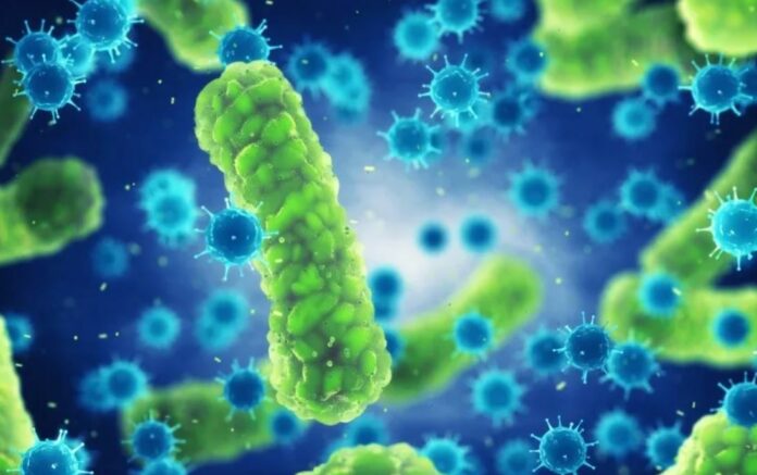 bacterias-y-virus