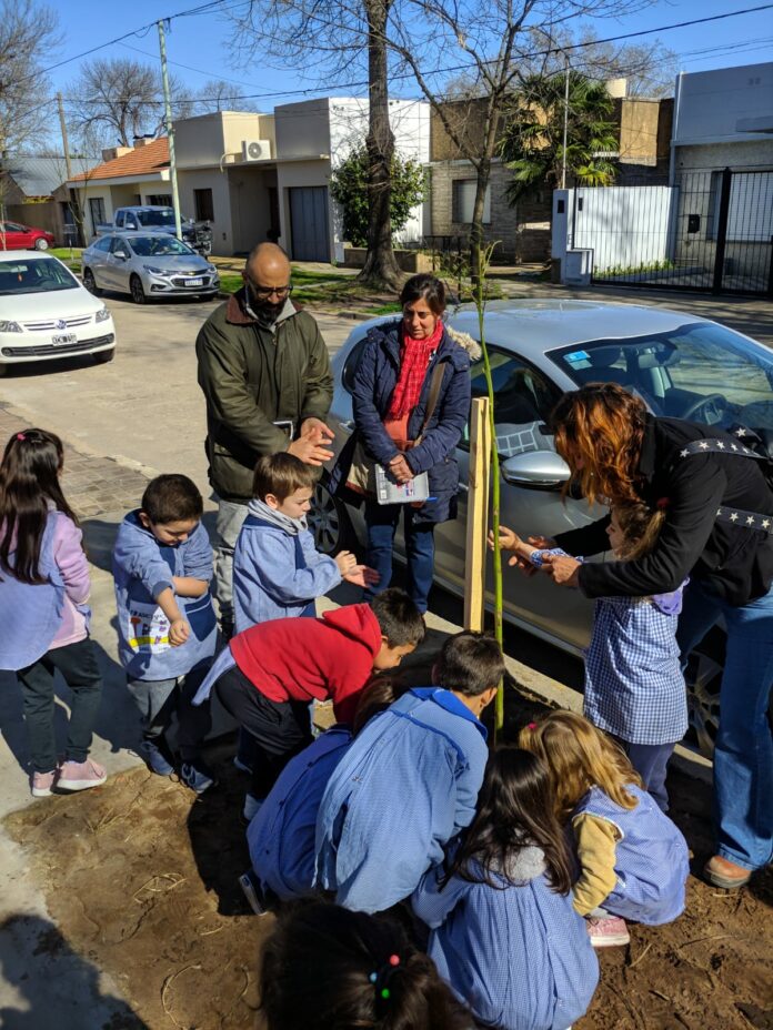 dia arbol jardin 901