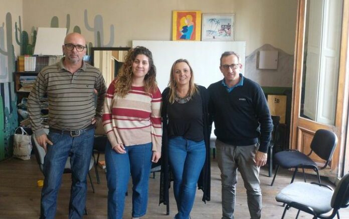 golondrinas