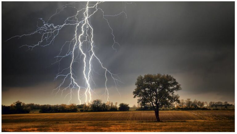 Vientos, tormentas y temperaturas extremas en la provincia