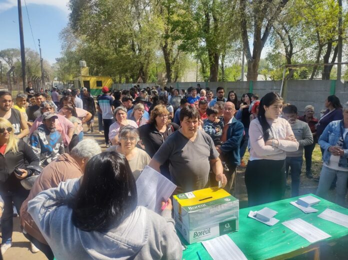 elecciones oro verde