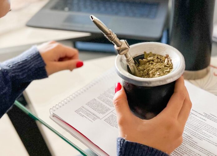 yerba-mate