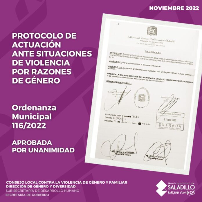 protololo violencia de genero