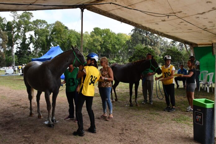 endurance cazon