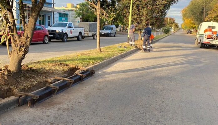 cordon reparacion