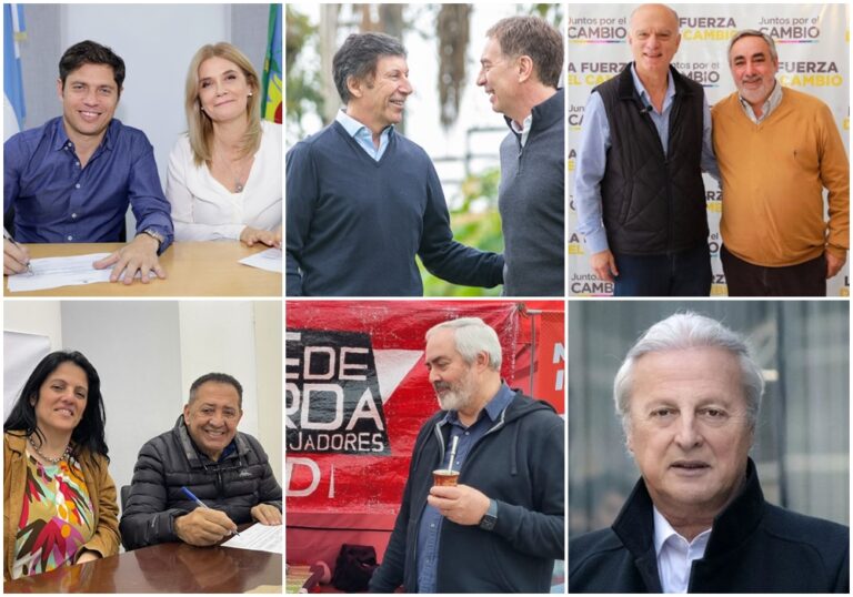 Finalmente serán diez precandidatos los que competirán en las PASO para la gobernación bonaerense