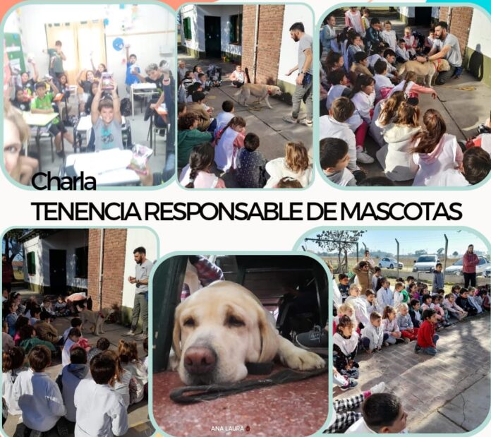 tenencia responsable