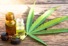 La Provincia creó un ente para fortalecer las políticas de cannabis medicinal