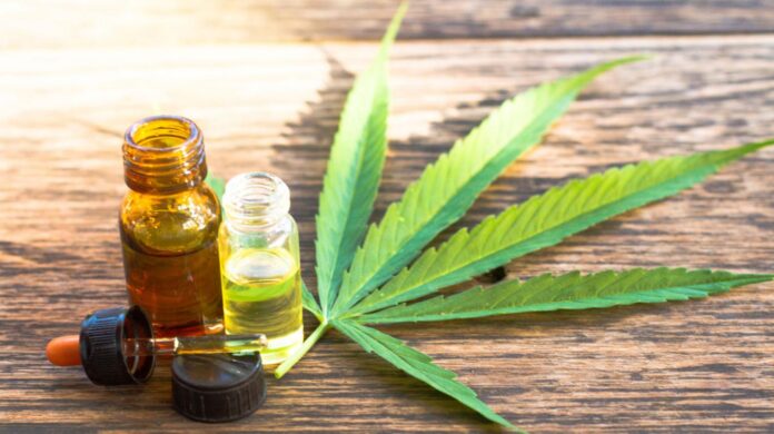 cannabis