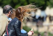 Vientos fuertes y mañanas heladas: ¿cuándo llegan las jornadas cálidas de primavera?