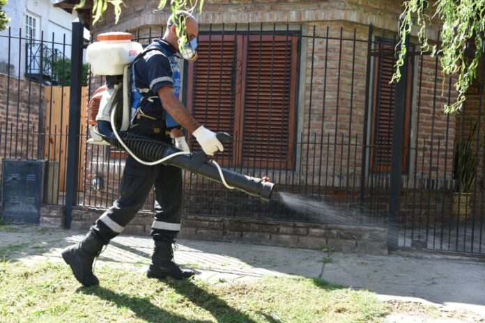 dengue-fumigan