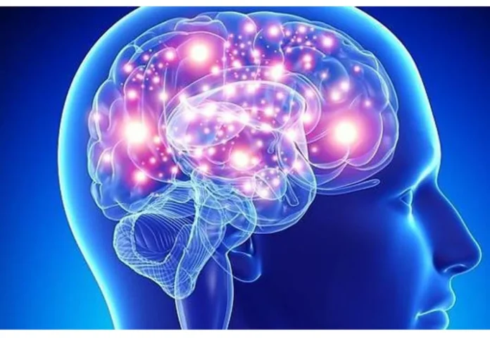 cerebro