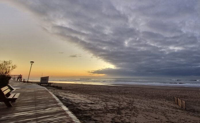 gesell