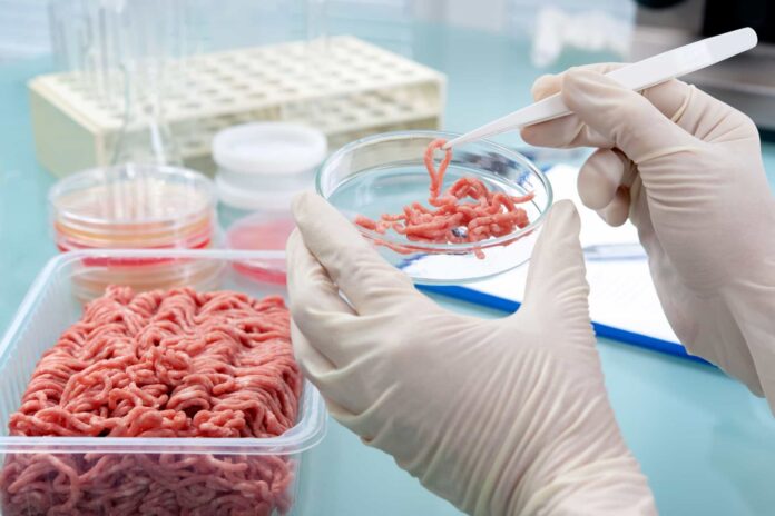 triquinosis
