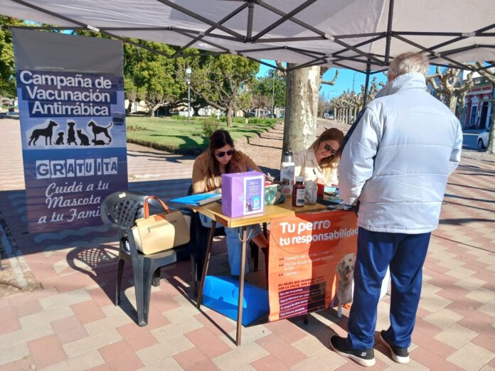 vacunacion rabia