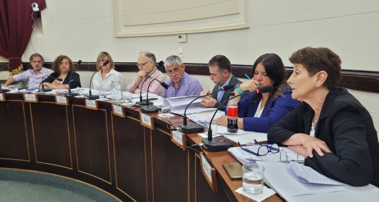 Ediles del PJ contra el oficialismo y LLA por “convalidar los sobresueldos”