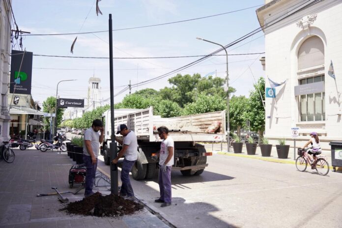 calle 9