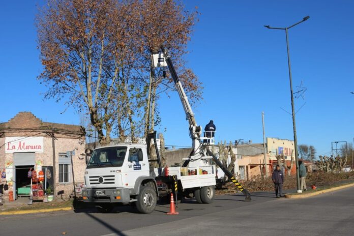 poda avenida 36