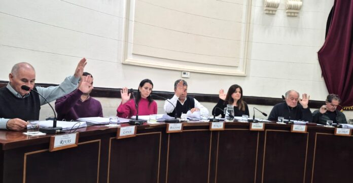 concej ofi