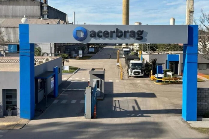 acerbra