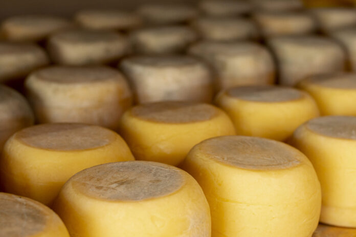 queso