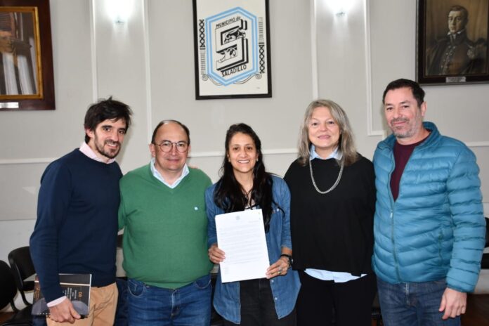 salomon arquitectos